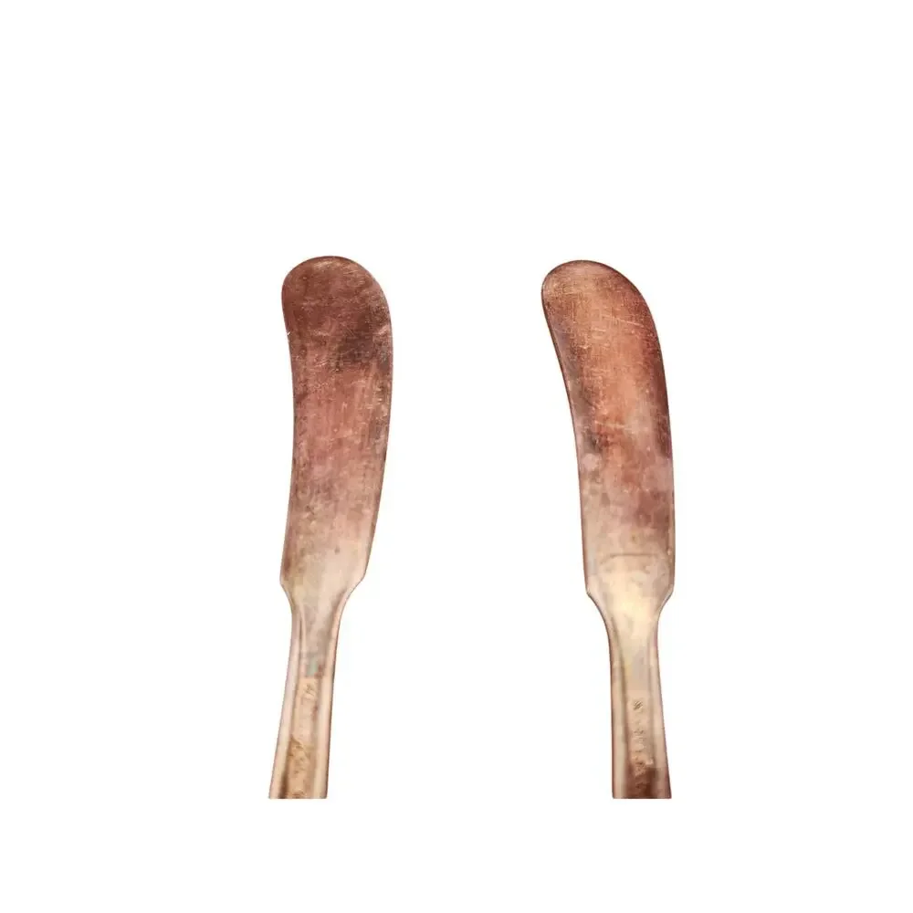 National Silver Co Calvalcade Butter Spreaders Set of 2 Silverplate 5.75